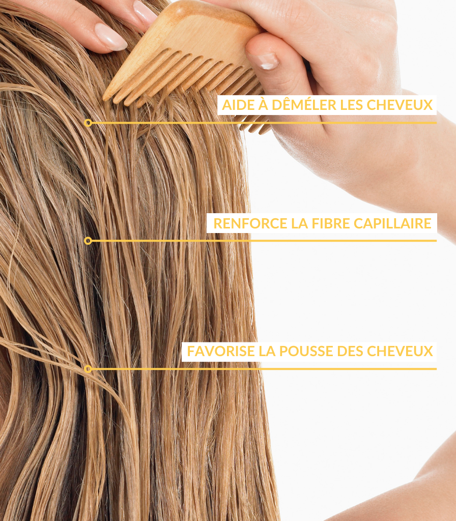 Nourishing Conditioner - HONEY CARE - Familyzz